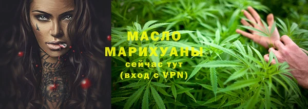 сатива Новодвинск