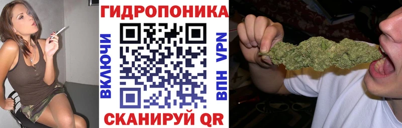 даркнет сайт  Трубчевск  МАРИХУАНА ГИДРОПОН 